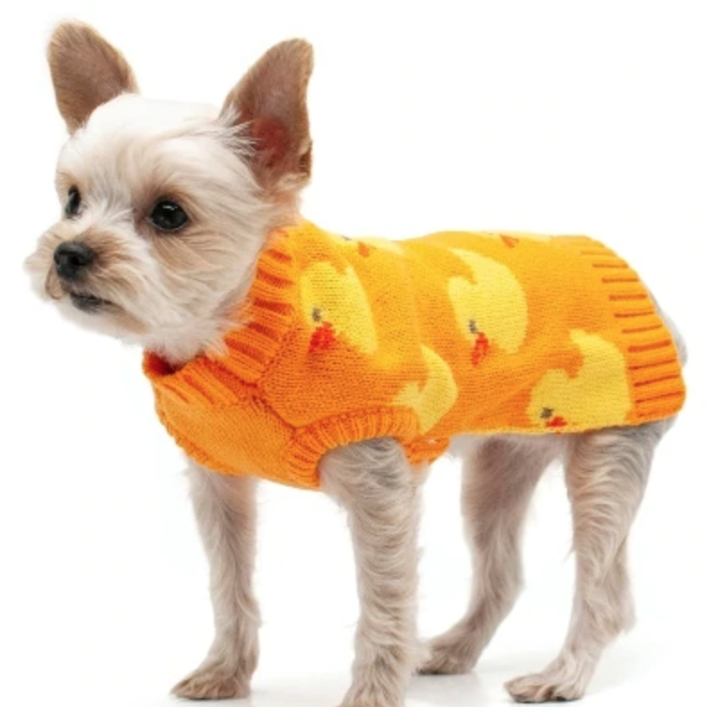 PupDuckSweater